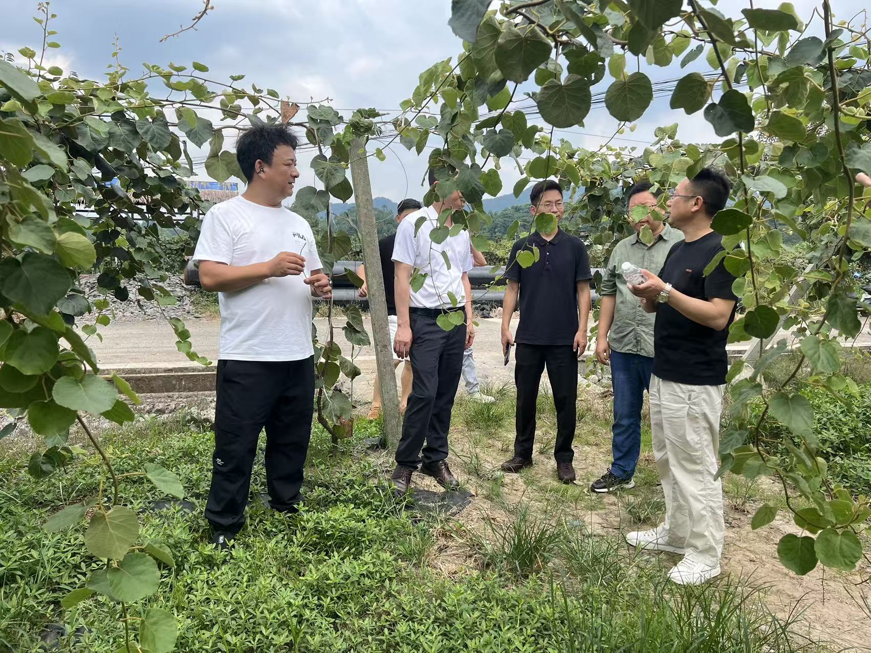 大农记赴邛崃南宝山镇考察交流：从高山生态到餐桌溯源，村企携手共绘产业振兴新图景